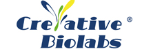 Creative Biolabs